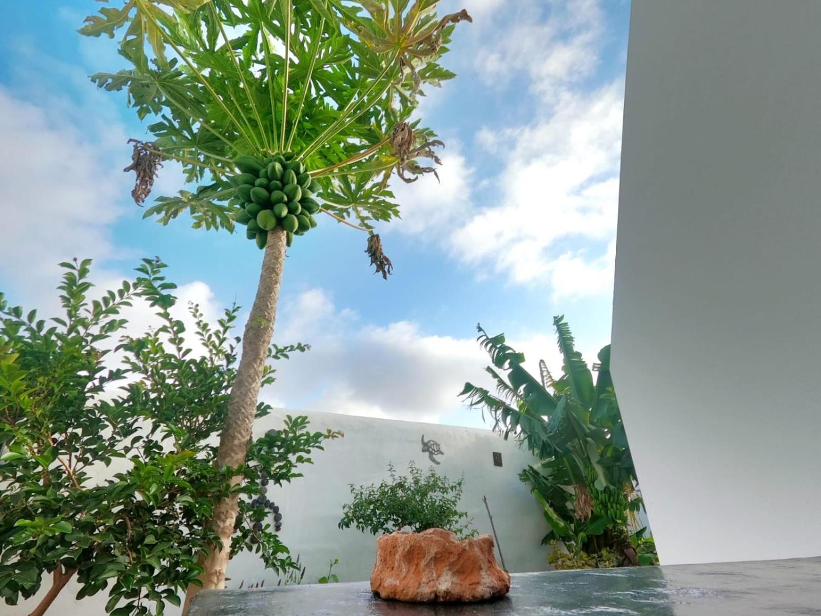 Apartmán Jardin Del Mar Tinajo Exteriér fotografie